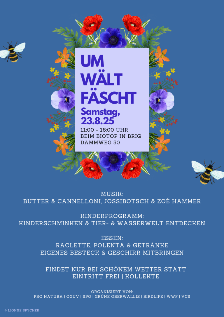 Umwältfäscht 2025 Version 1