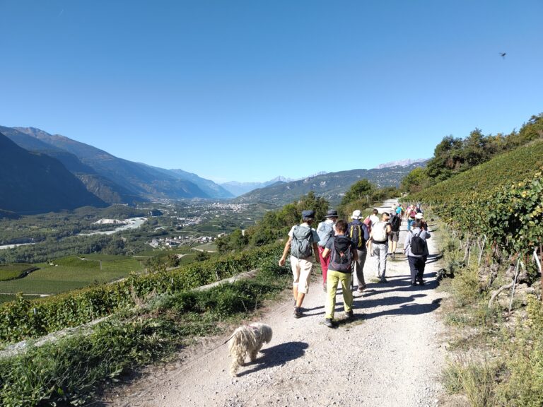 Wanderung_2025
